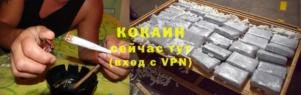 2c-b Богородицк