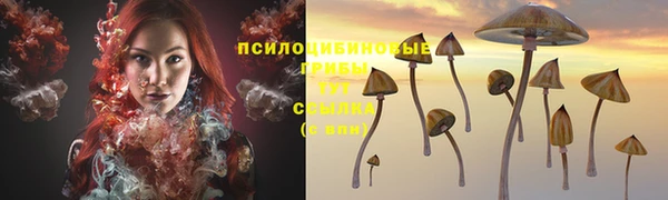 2c-b Богородицк