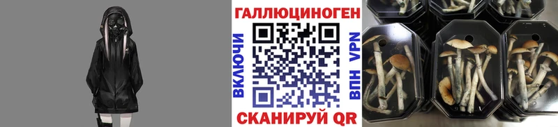 Галлюциногенные грибы Cubensis Короча